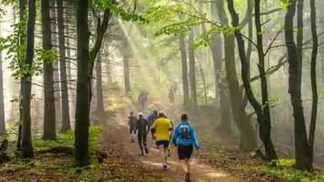 VILLA - MANGARAÍ - S.LEOPOLDINA (ES)