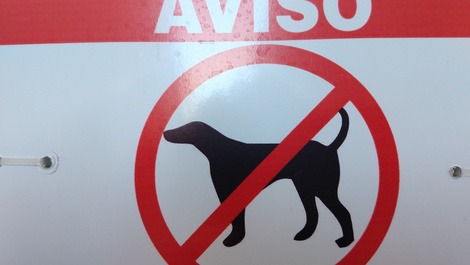 Infelizmente, não aceitamos pets no apartamento