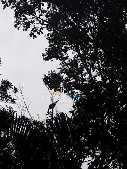 Casa para aluguel de temporada em Bertioga (Praia de Guaratuba)