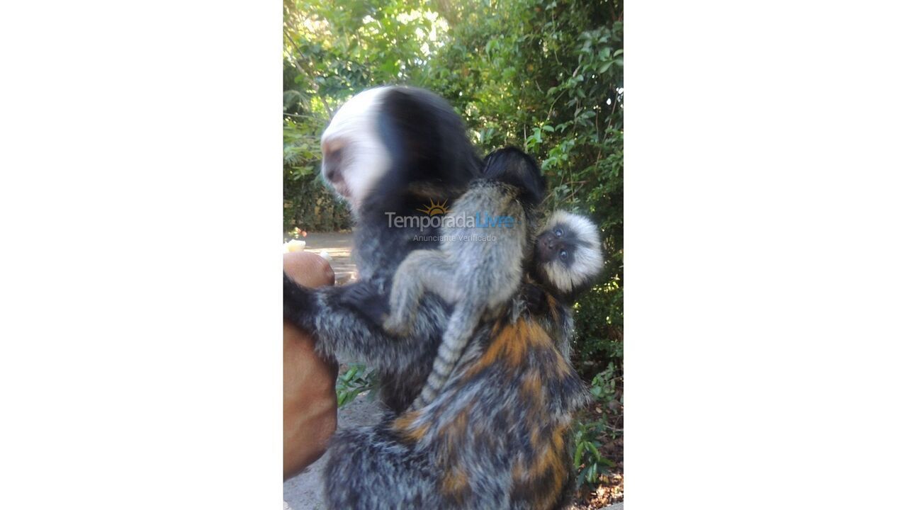 Casa para alquiler de vacaciones em Arraial D'Ajuda (Estrada da Balsa Quintas de Arraial D Ajuda)