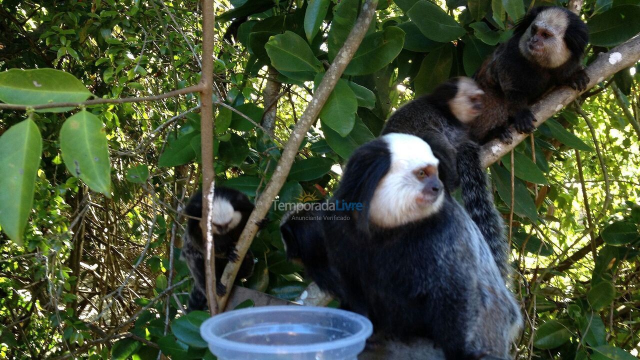 Casa para alquiler de vacaciones em Arraial D'Ajuda (Estrada da Balsa Quintas de Arraial D Ajuda)