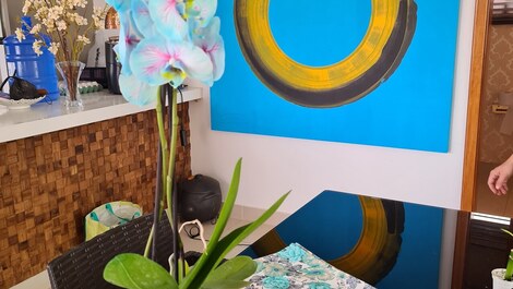 Incrível Mansão com Estrutura para Festas e Banquetes