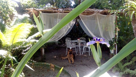 Casa imersa na Natueza e com guardião especial 