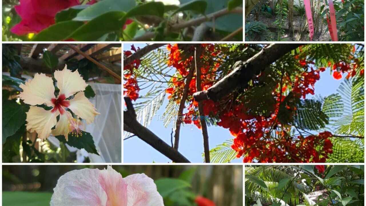 House for vacation rental in Arraial D'Ajuda (Quintas do Arraial)