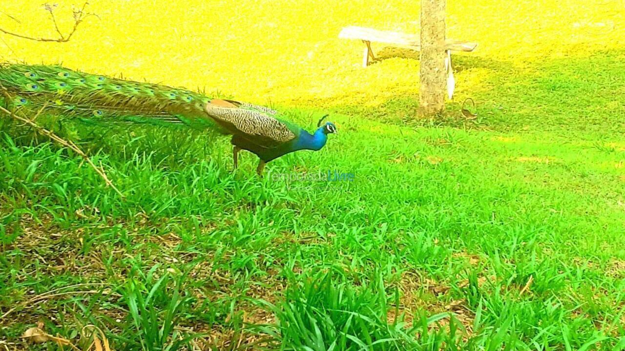 Ranch for vacation rental in São Roque (Mailasque)