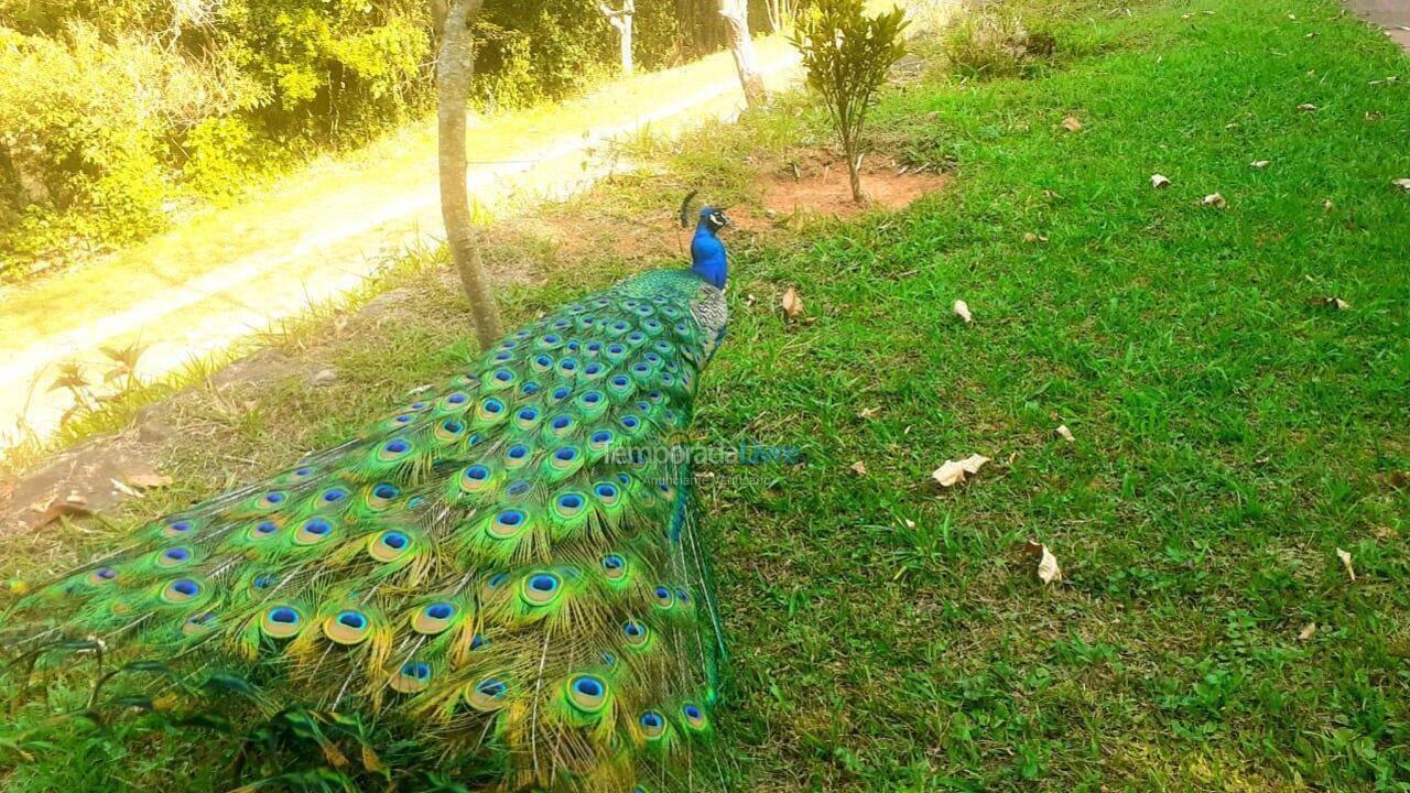 Ranch for vacation rental in São Roque (Mailasque)