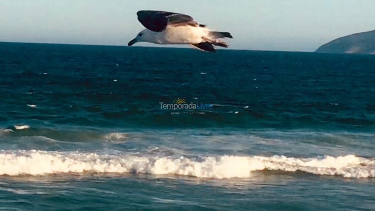 Apartment for vacation rental in Cabo Frio (Praia do Forte)