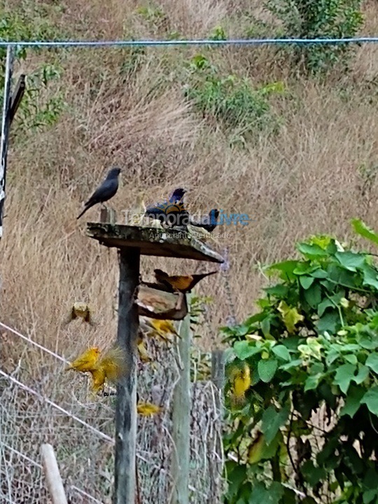 Casa para alquiler de vacaciones em Conceição do Castelo (São Bento das Pedras)