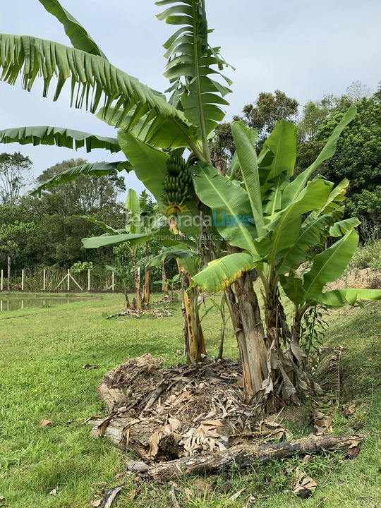 Ranch for vacation rental in Mogi das Cruzes (Biritiba Ussu)