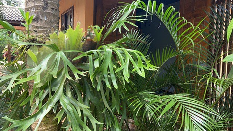 Vista de fora suite 3