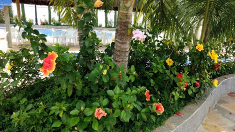 Jardins do Punta Caldas