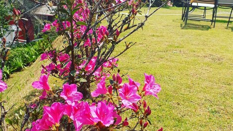 Casa da Montanha Umuarama