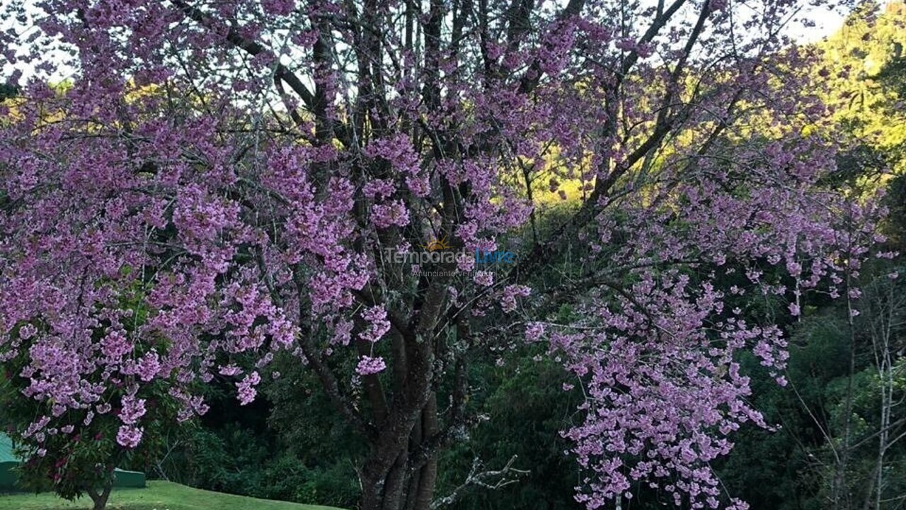 Casa para aluguel de temporada em Campos do Jordão (Condominio Umuarama)