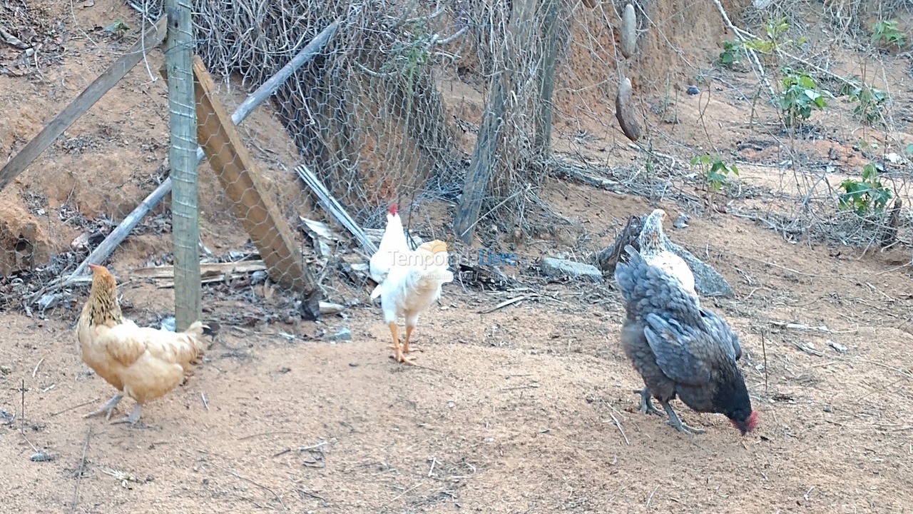 Casa para alquiler de vacaciones em Conceição do Castelo (São Bento das Pedras)