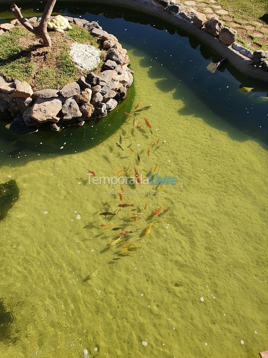 Chácara / sítio para aluguel de temporada em Mairiporã (Terra Preta)