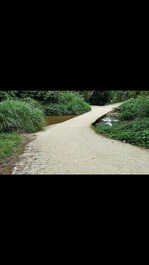 Ponte sobre o rio novo horizonte