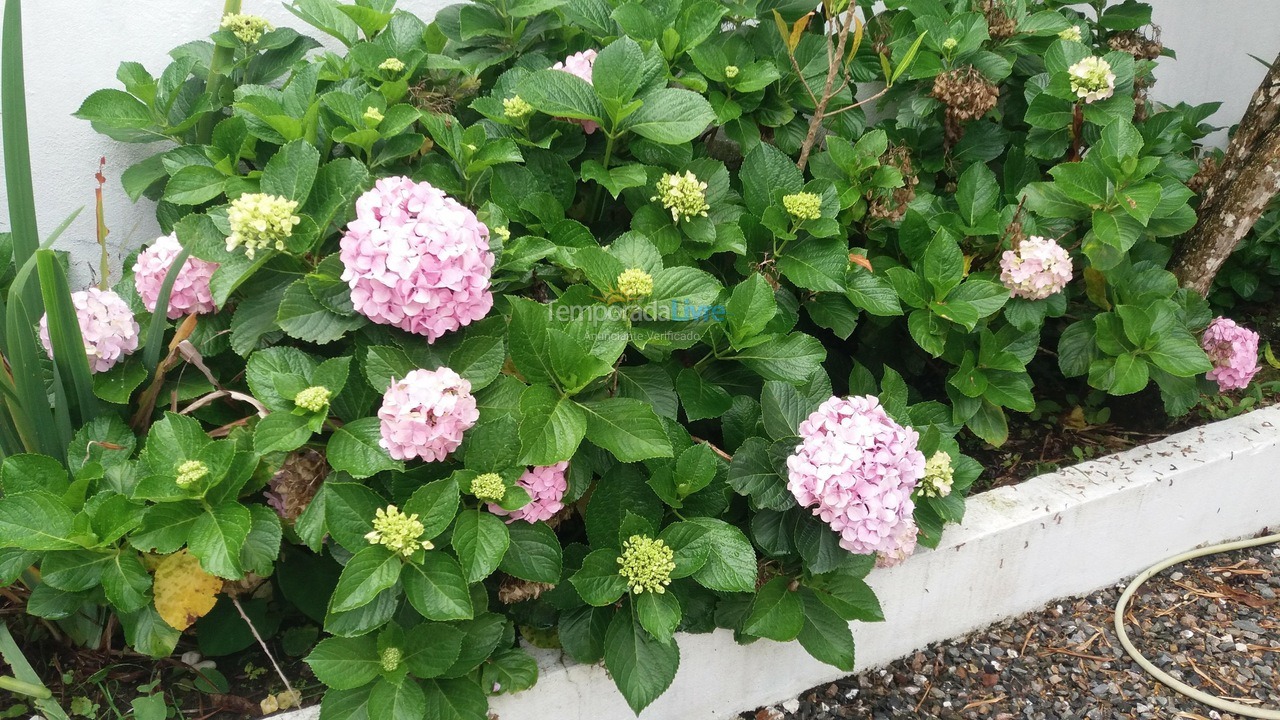 Casa para aluguel de temporada em Bombinhas (Praia de Bombinhas)