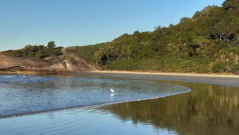 Ponta da praia.
