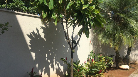 Jardim lateral a garagem 