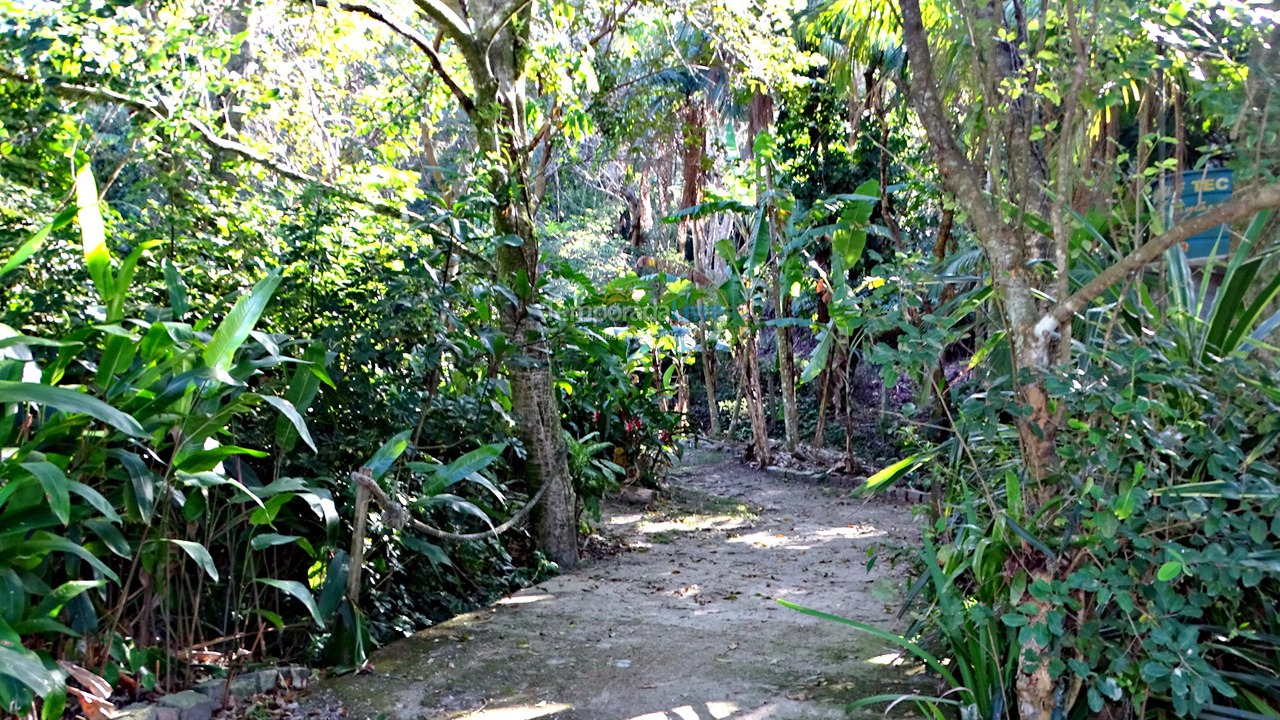 Casa para aluguel de temporada em Bombinhas (Canto Grande)