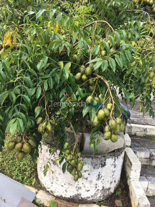 Casa para aluguel de temporada em São Sebastião (Boiçucanga)