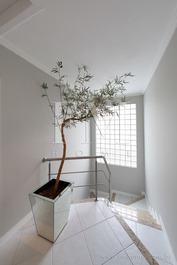 Splendid house, beautiful and well located in Jurerê Internacional.