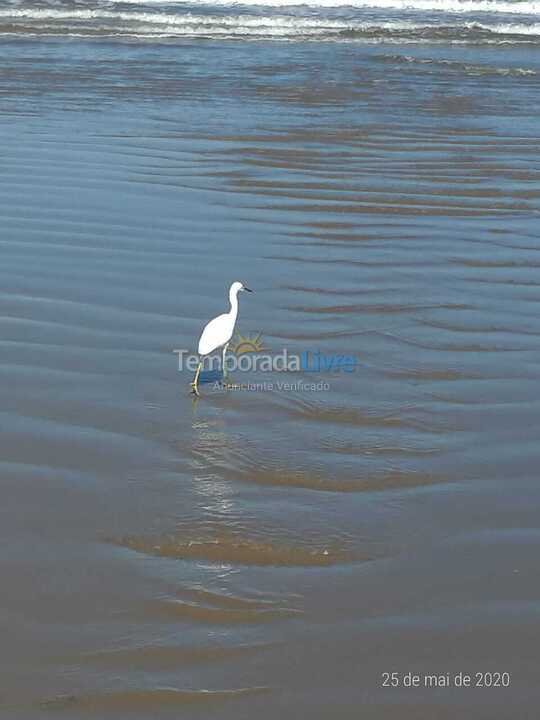 Casa para alquiler de vacaciones em Bertioga (Vista Linda)