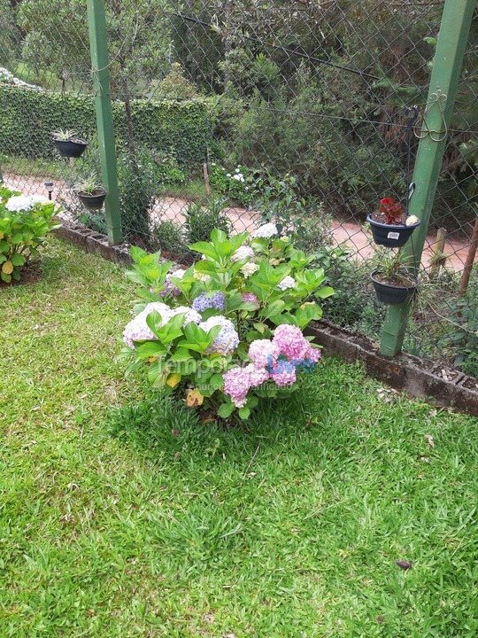 House for vacation rental in Monte Verde (Monte Verde)