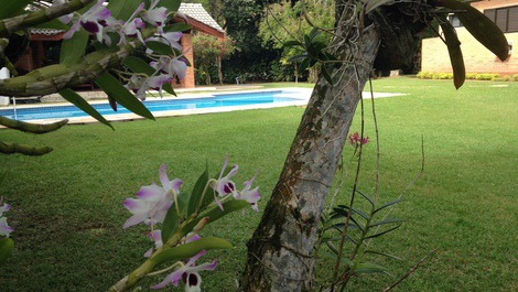 Jardim e piscina