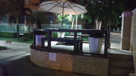 Palm Beach, Porto das Dunas, Aquiraz-CE.