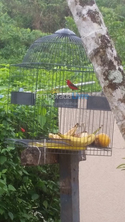Ranch for vacation rental in Peruíbe (Chácaras Iporanga)