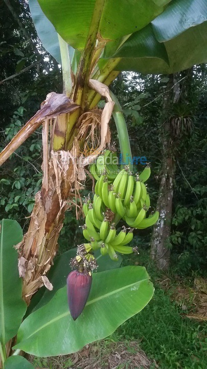 Ranch for vacation rental in Peruíbe (Chácaras Iporanga)
