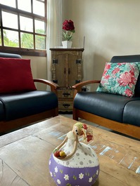 Sala confortável e decorada