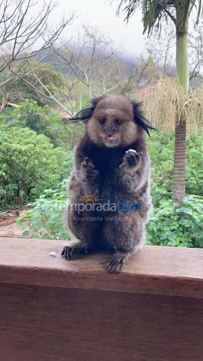 Casa para aluguel de temporada em Florianópolis (Rio Tavares)
