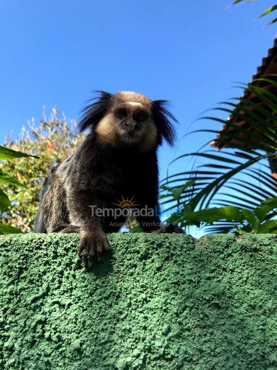 Casa para aluguel de temporada em Florianópolis (Rio Tavares)