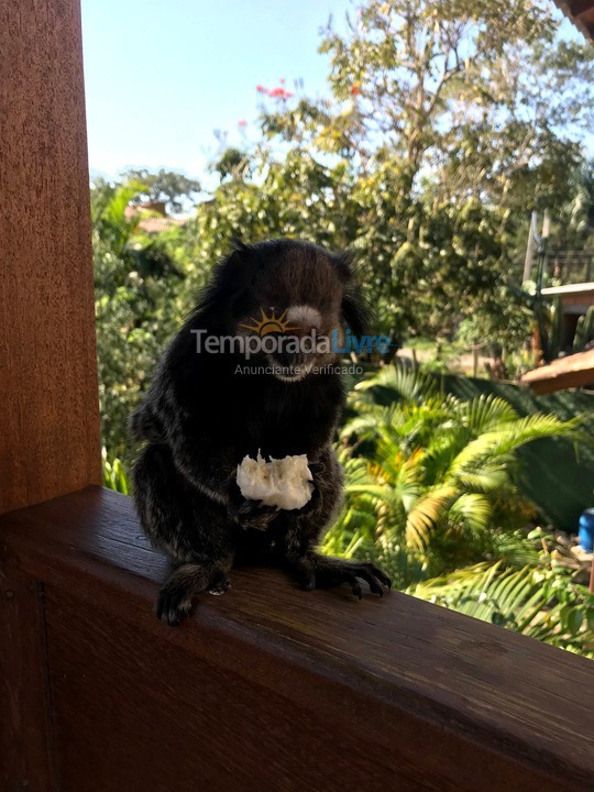 Casa para aluguel de temporada em Florianópolis (Rio Tavares)