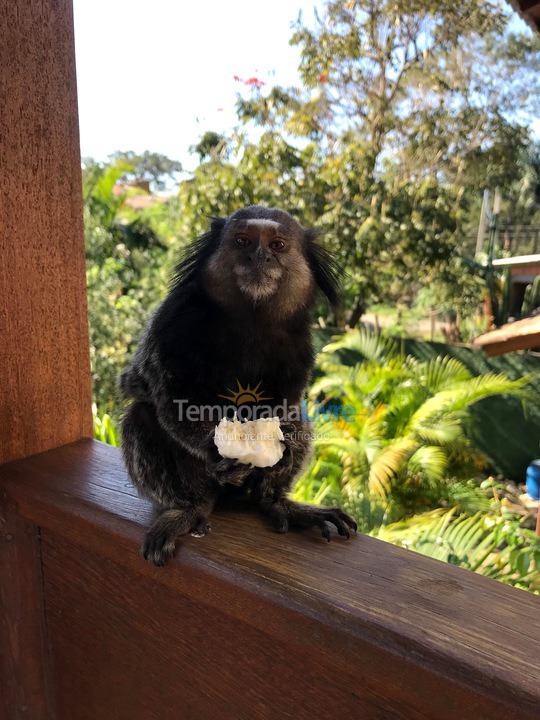 Casa para aluguel de temporada em Florianópolis (Rio Tavares)