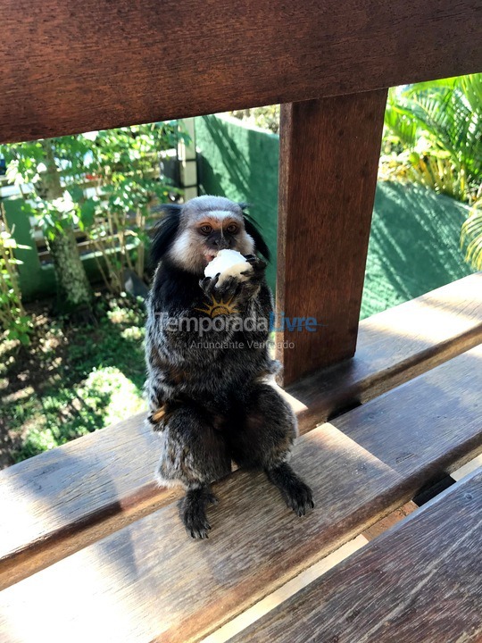 Casa para aluguel de temporada em Florianópolis (Rio Tavares)