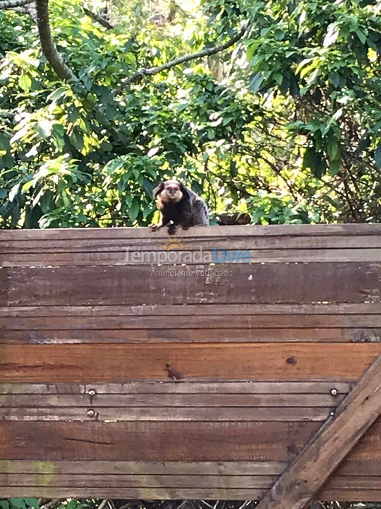 Casa para aluguel de temporada em Florianópolis (Rio Tavares)