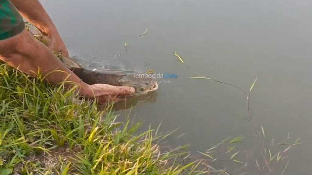 Casa para alquiler de vacaciones em Maquiné (Solidão)