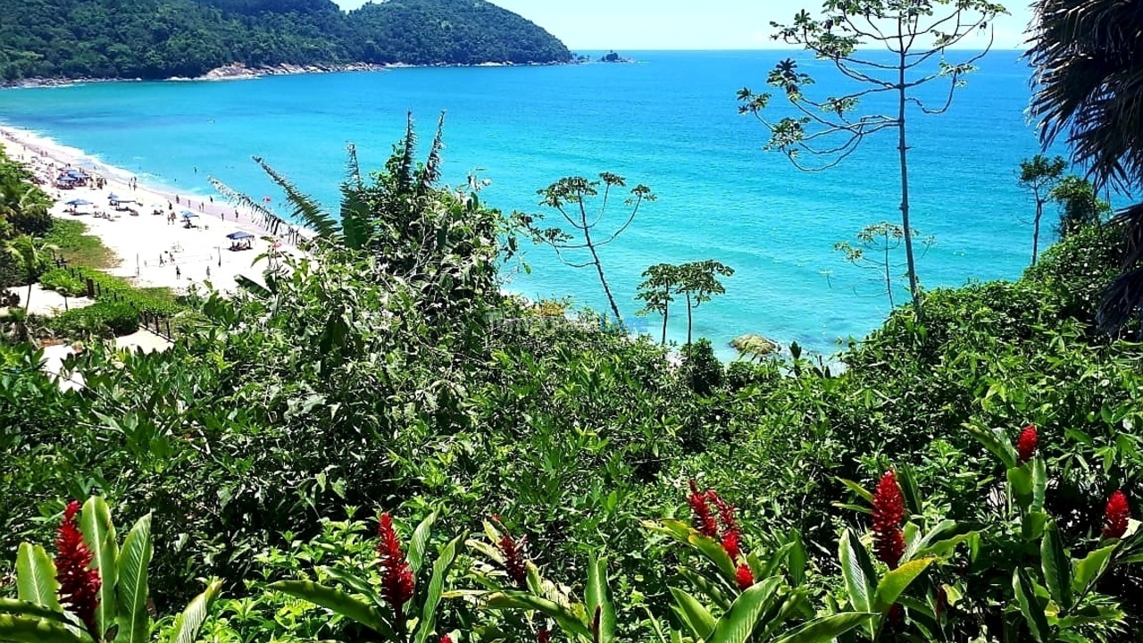 House for vacation rental in Ubatuba (Praia do Tenório)