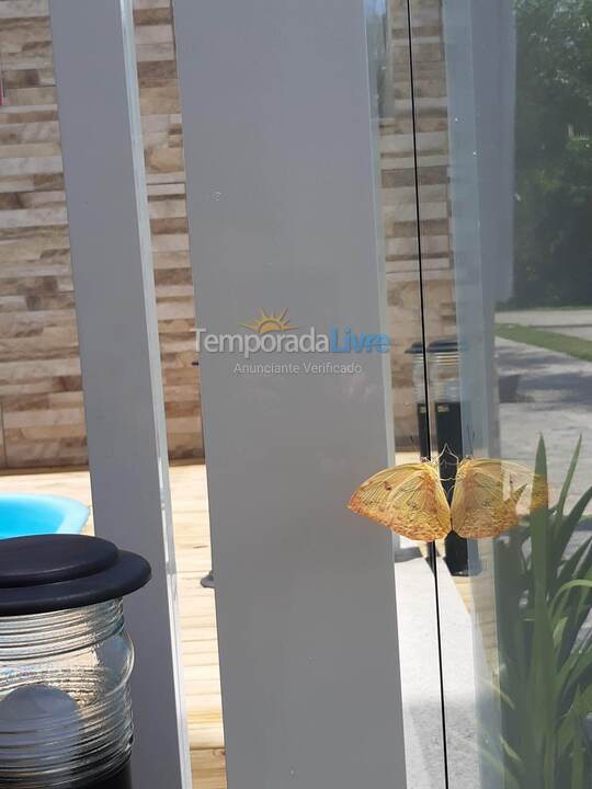 Apartamento para aluguel de temporada em Governador Celso Ramos (Praia de Palmas)