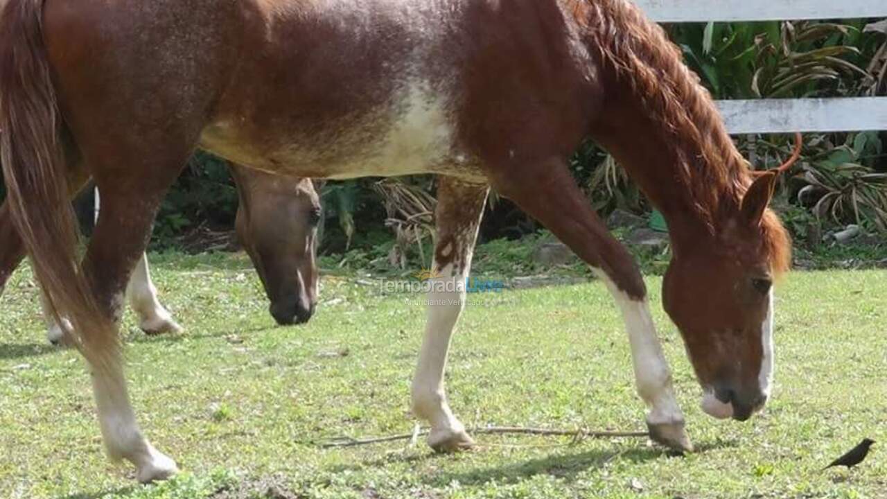 Chácara / sítio para aluguel de temporada em São Roque (São João Novo)