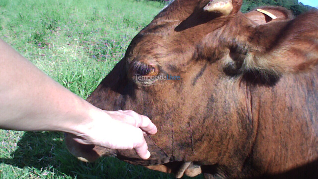 Chácara / sítio para aluguel de temporada em Bragança Paulista (Boa Vista dos Silvas)