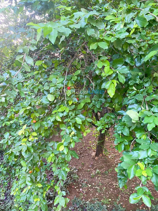 Ranch for vacation rental in São José da Lapa (Bairro Cachoeira)