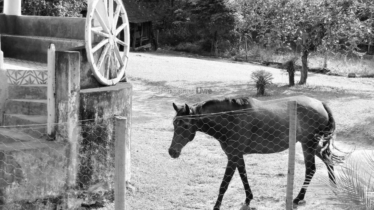 Casa para aluguel de temporada em Bocaina de Minas (Alcantilado)