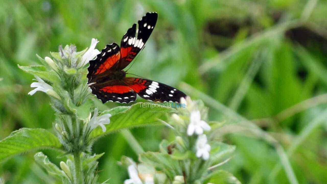Casa para aluguel de temporada em Bocaina de Minas (Alcantilado)