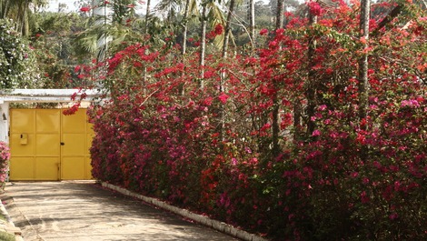 Entrada de carros principal