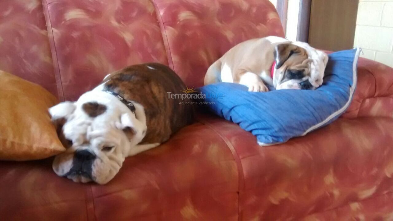 House for vacation rental in São José da Barra (Zona Rural)