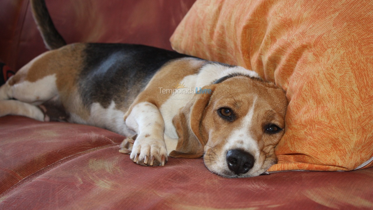 House for vacation rental in São José da Barra (Zona Rural)